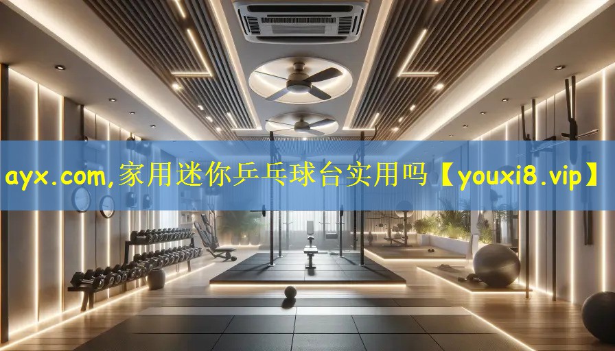 ayx.com,家用迷你乒乓球台实用吗