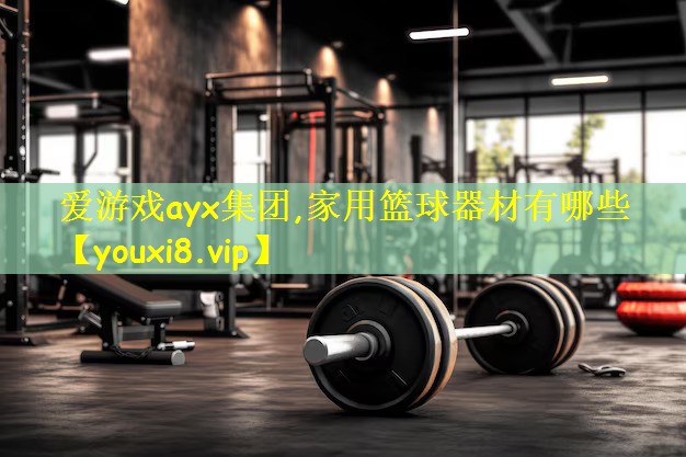 爱游戏ayx集团,家用篮球器材有哪些