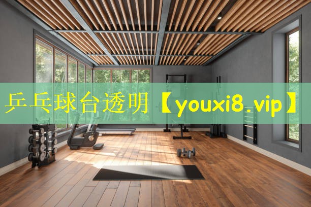 乒乓球台透明