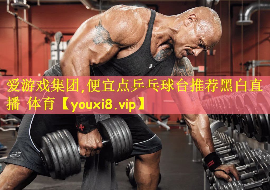 爱游戏集团,便宜点乒乓球台推荐黑白直播 体育