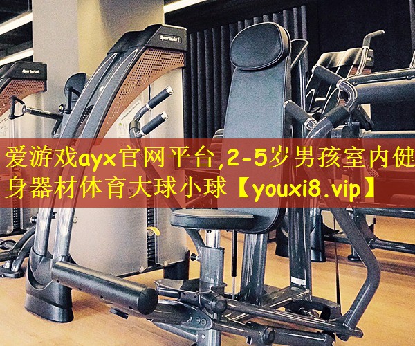 爱游戏ayx官网平台,2-5岁男孩室内健身器材体育大球小球